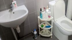 Blk 506 Bishan Street 11 (Bishan), HDB 4 Rooms #565293441